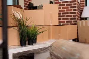 Cajas de cartón apiladas junto a plantas decorativas sobre mesa blanca, guía visual de como empacar una mudanza ordenada.